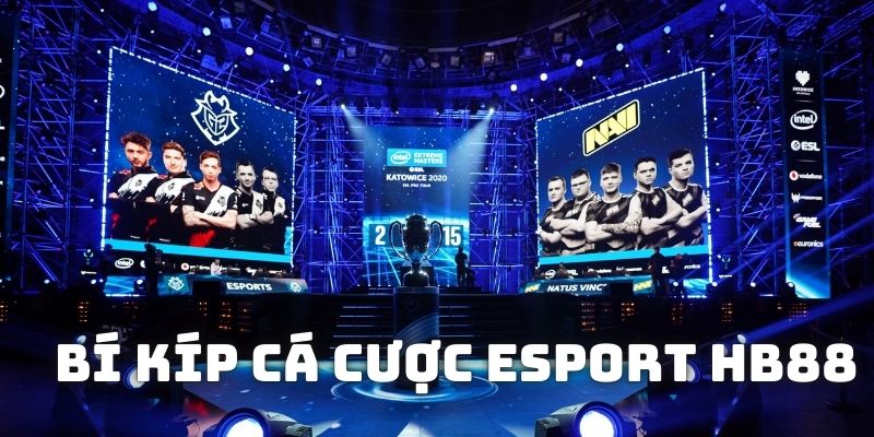 Bí kíp giúp tham gia cá cược esports hiệu quả