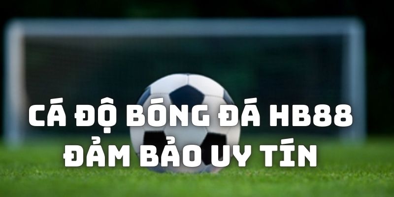 Cá độ bóng đá tại đơn vị luôn được tin tưởng bởi sự uy tín 