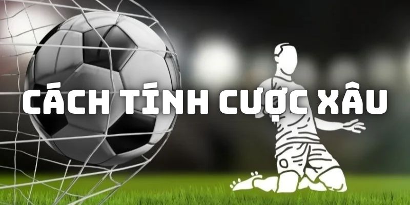 Cách tính cược xâu mang về nhiều tiền thưởng nhất